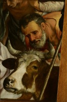 Картины - Рейксмузеум в Амстердаме. Поклонение пастухов. Фрагмент. Около 1560-х  гг.