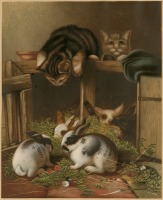 Картины - Котята и кролики