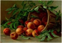 Картины - Персики в корзине и зелёные листья