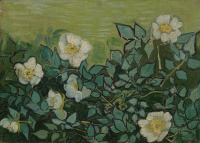 Картины - Винсент Ван Гог. Дикие розы. Шиповник