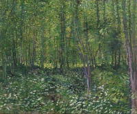 Картины - Винсент Ван Гог. Деревья в весеннем лесу