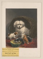 Картины - Анриетта Роннер-Книп. Скотч-терьер со щенками