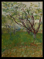 Картины - Винсент Ван Гог. Цветущий сад