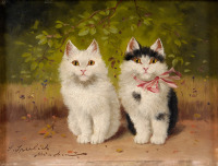 Картины - Софи Сперлих, Два котёнка