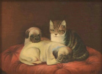 Картины - Августа Талбойс. Два мопса и кошка. Кошки и собаки