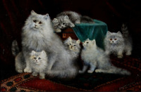 Картины - Августа Талбойс, Персидская кошка с котятами