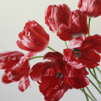 Картины - Игорь Левашов, Красные попугайные тюльпаны
