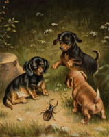 Картины - Карл Рейхерт. Три щенка таксы и жук