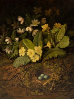 Картины - Джон Фитц Маршалл. Жёлтые примулы и птичье гнездо