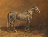 Картины - Вильгельм Вестероп. Серая в яблоках лошадь в конюшне