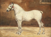 Картины - Вильгельм Вестероп. Белая лошадь в конюшне