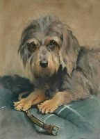 Картины - Эндрю Рэнкин. Портрет собаки с ошейником. Денди-динмонт терьер
