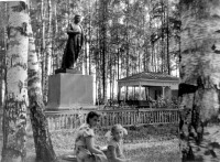 Кинешма - Памятник И. В. Сталину в парке ДХЗ.