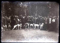Юрьевец - Выставка охотничьих собак