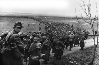 Калининградская область - Немецкие солдаты, взятые в плен после штурма Кенигсберга (9 апреля, 1945)