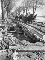Калининградская область - Бойцы на повозках. Март 1945 года.