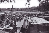 Калининградская область - Лошадный рынок в Велау-Знаменске. Около 1900 года.