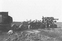 Калининградская область - Разоружение последнего орудия на последнем ОП под Кенигсбергом. Апрель 1945 г.