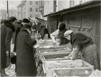 Калининград - Торговки рыбой на набережной Прегеля в Альтштадте