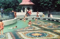 Калининград - Бассейн с мозаикой в городском зоопарке