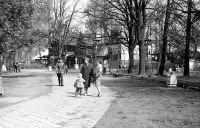 Калининград - Калининградский зоопарк. Фото В.К. Завершинского 1964 года.