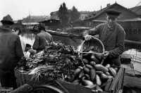 Калининград - Торговля овощами на Преголе. 1936.