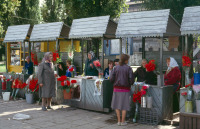 Калининград - Калининград. Торговля цветами у Южного вокзала.