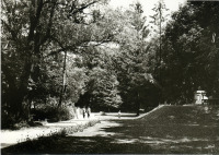 Гусев - Gumbinnen. Promenade.