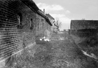 Гусев - Kampischkehmen, im Domaenenhof.