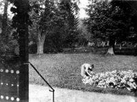 Гусев - Kampischkehmen, Domaene, Blick in den Park.