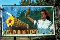 Краснодарский край - СССР глазами француза, Кубань – «Да здравствует кукуруза» – 1964