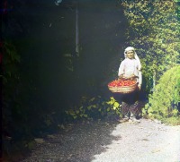 Сочи - Сочи. Грузин - торговец помидорами, 1912