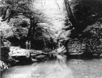 Сочи - В каньоне реки Псахо.