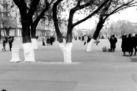 Славянск-на-Кубани - площадь Славянск 1959